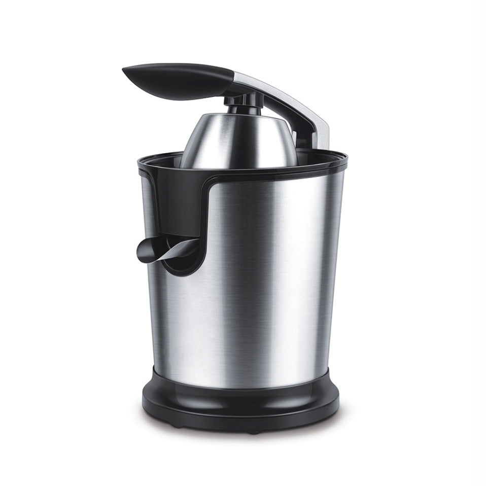 Extracteur de jus multifonction en acier inoxydable