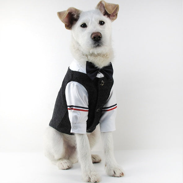 Wedding Dress Pet Suit Gentleman Clothes