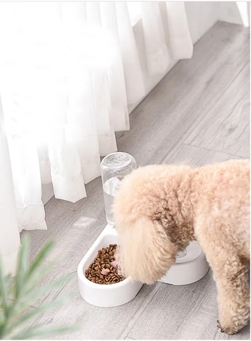 Cat Bowl Dog Bowl Double Bowl Non-wet Mouth Dual-use