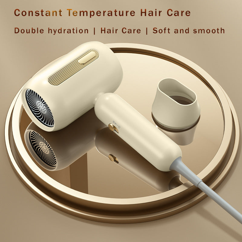 Standard Leakage Protection Speed Electric Hair Dryer Household High Power Quick-drying Constant Temperature
