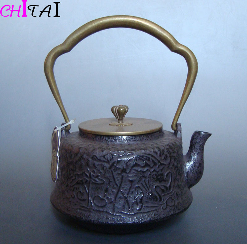 Théière japonaise en fonte non émaillée