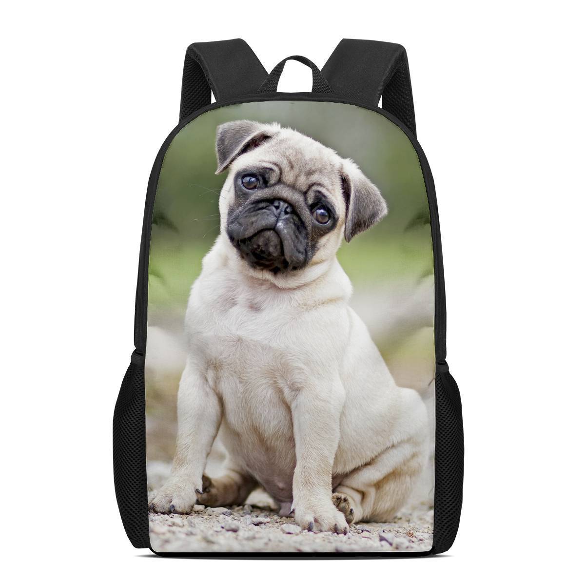 Large capacity backpack for travel and leisure