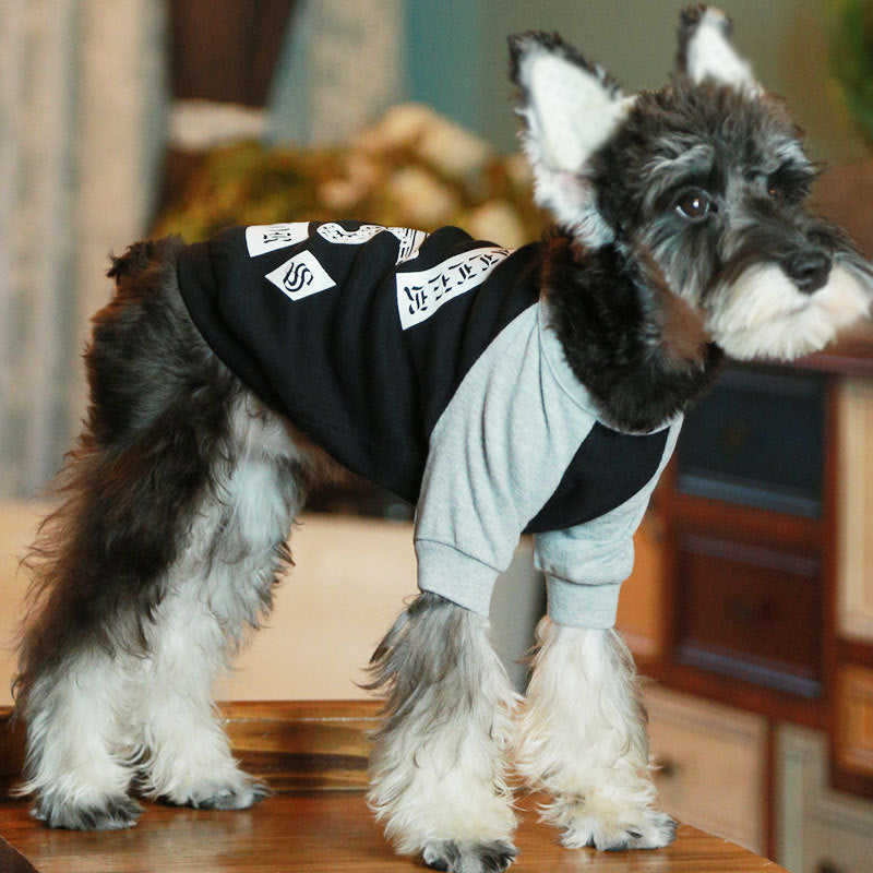 Vêtements pour chien Teddy – T-shirt mode pour animaux de compagnie