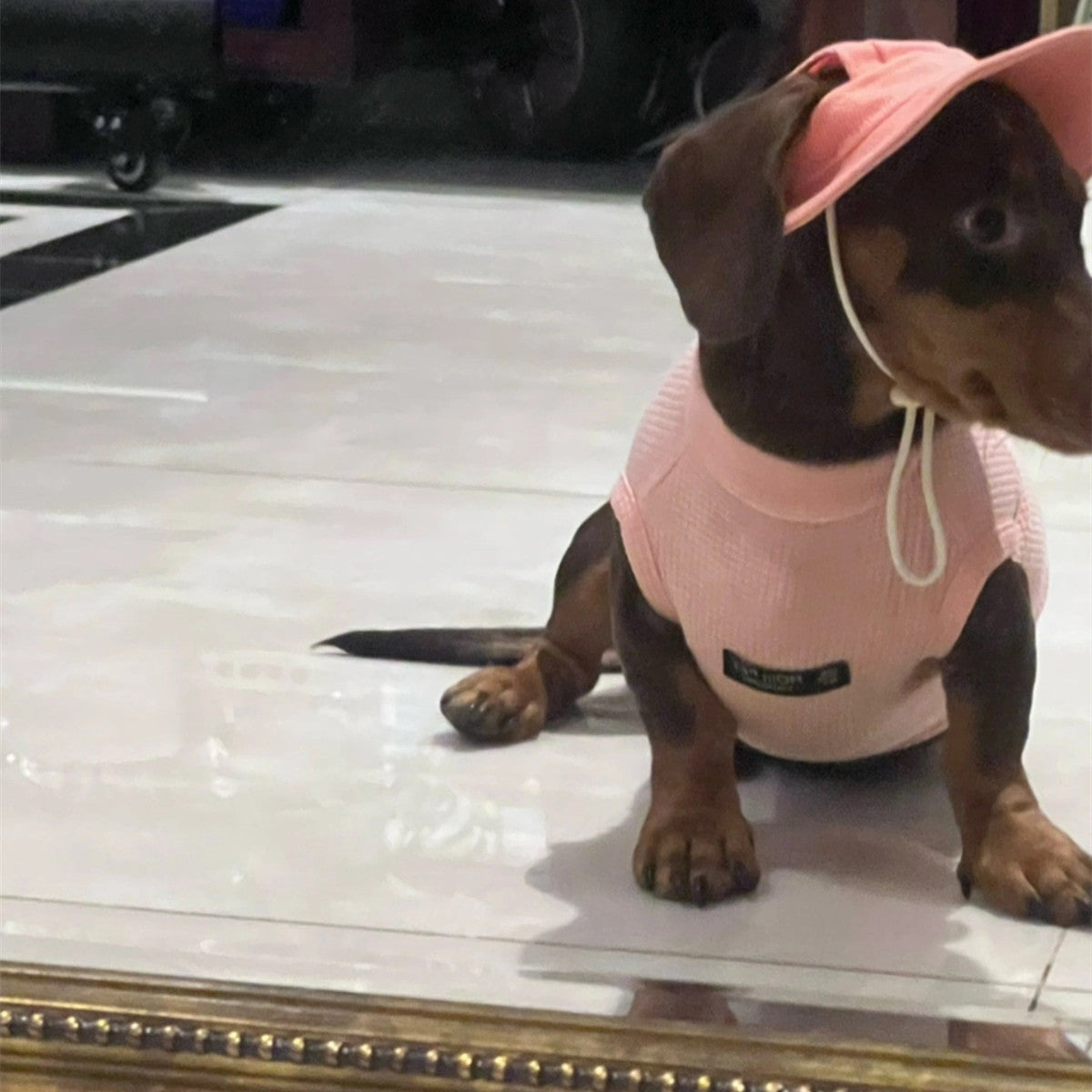 Pet Fashion Waffle Pure Cotton Vest