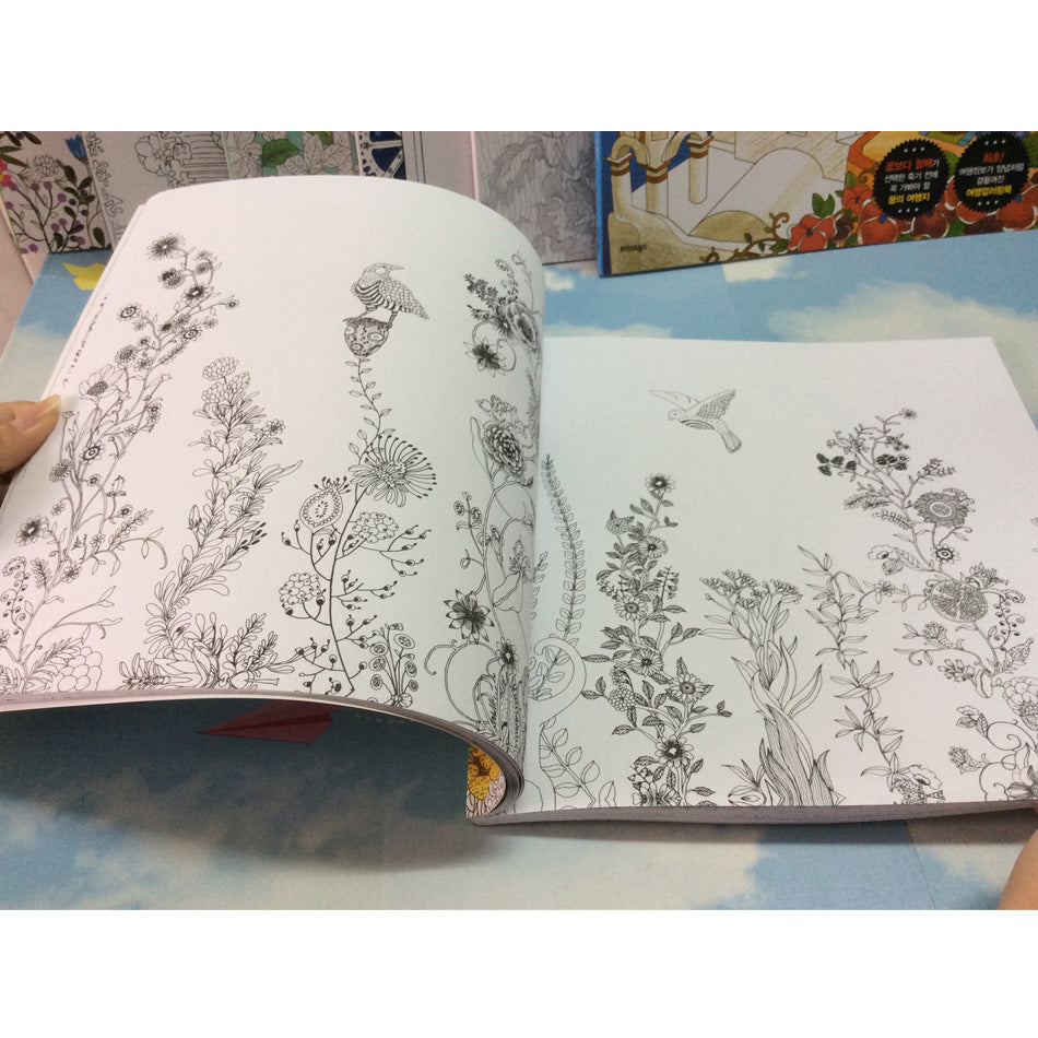 Secret Garden Painting and Coloring Book