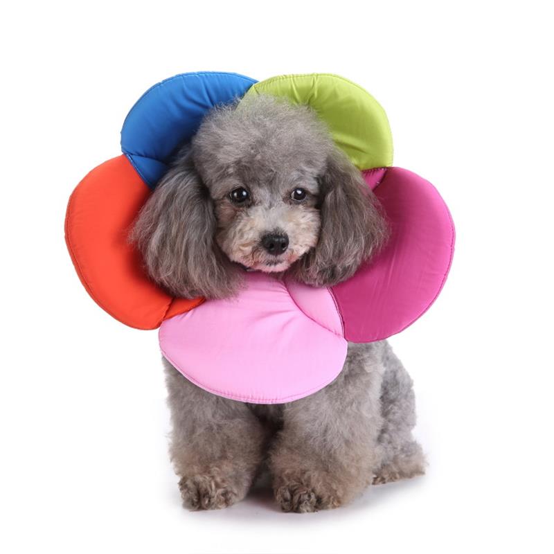 Collier de protection pour animaux de compagnie, Collier de protection pour fleurs, Kits de toilettage pour animaux de compagnie, Anneau de morsure de chien, Contrôle des naissances