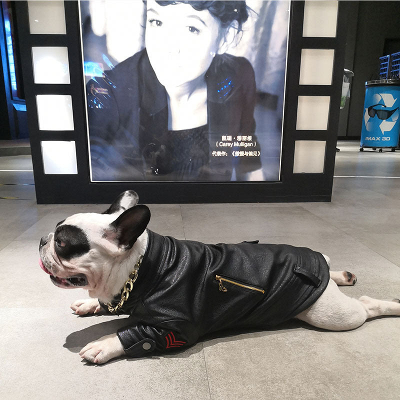 Pet Beauty and Fashion Brand Fashion Clothes Motorcycle Leather Clothing