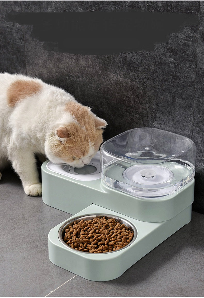Bol distributeur d'eau automatique pour chat, anti-renversement, pour nourriture et boisson