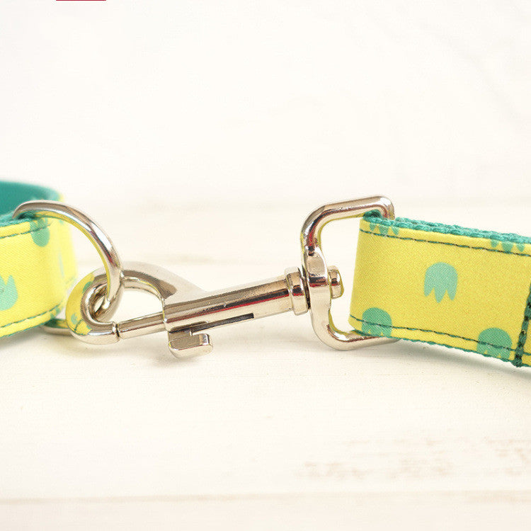 Dog Collar Leash Set Labrador