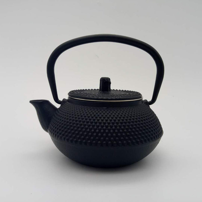 Théière en fonte bouillante, théière artisanale non revêtue, vieille théière japonaise en fer, théière de santé domestique, service à thé Kung Fu