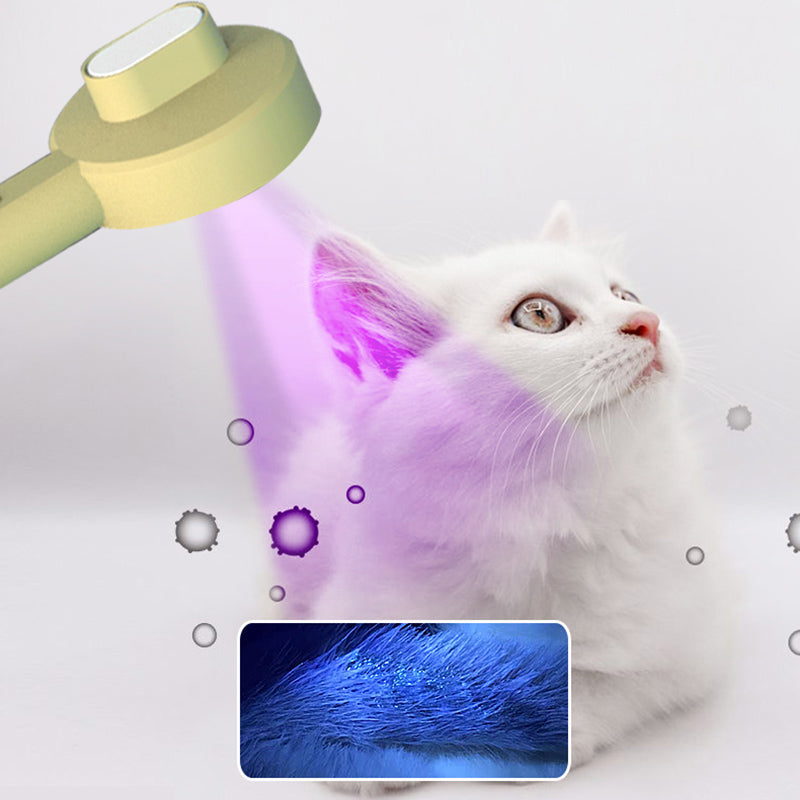 Peigne pour animaux de compagnie 2-en-1 durable et fonctionnel Hoopet Détecteur de mousse de chat UVC Lampe de détection Épilation de chien Brosse pour chat Outils de toilettage