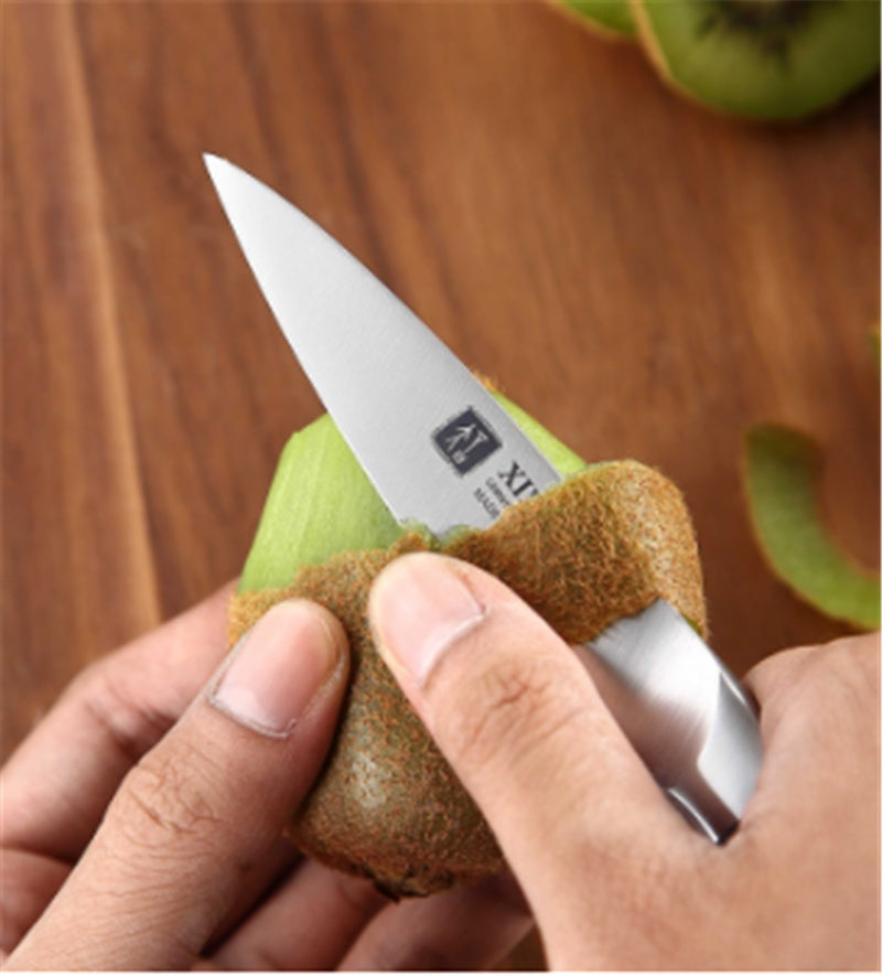 Imported Stainless Steel Fruit Knife 3.5 Inch Pocket Knife