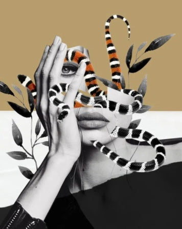 Digital Canvas Painting Home Decoration