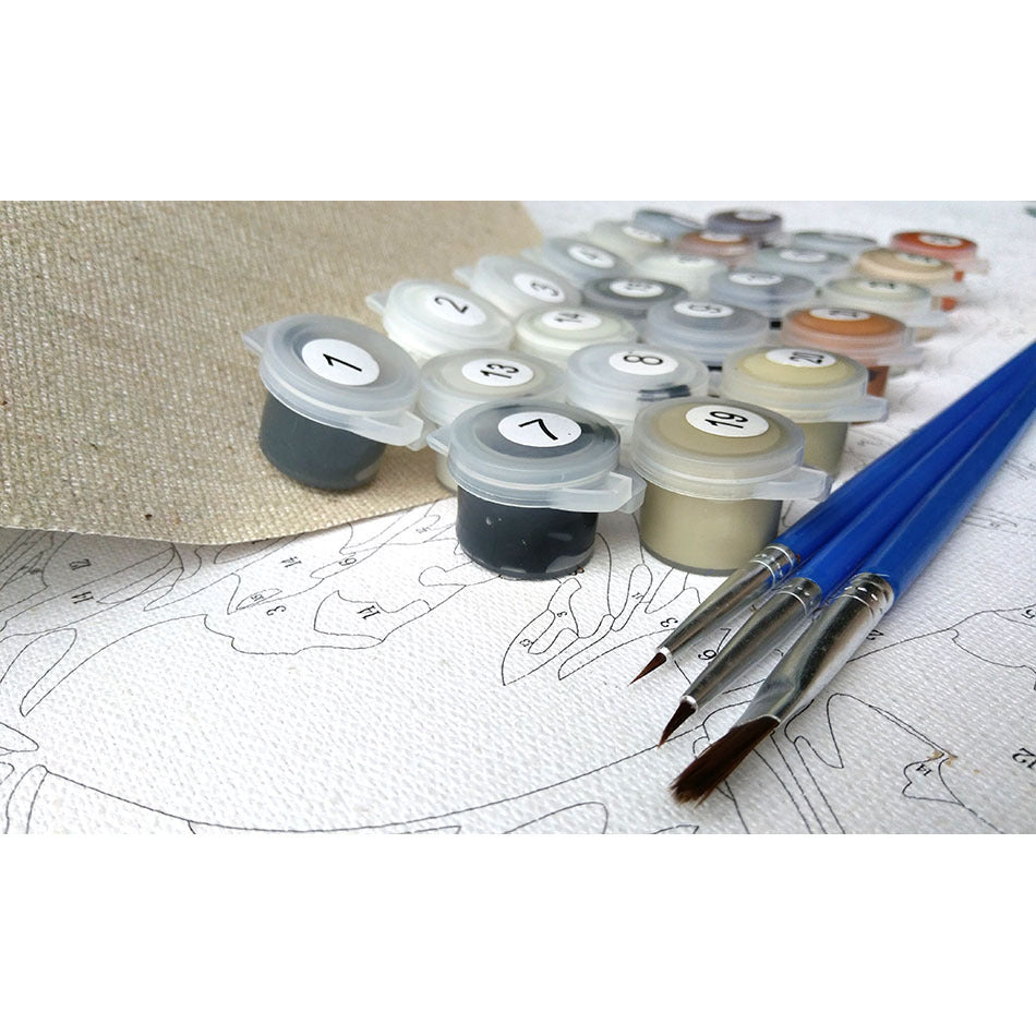 DIY Digital Painting Oil Painting