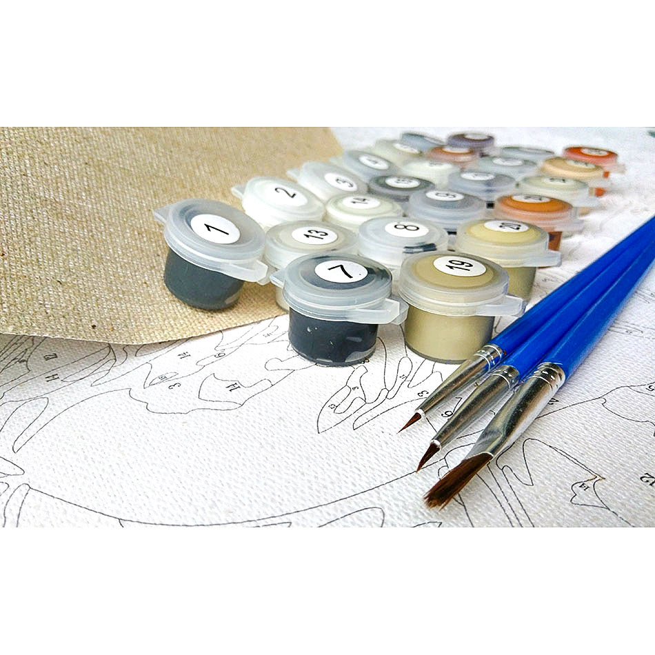 DIY Digital Painting Modern Wall Art Canvas Painting Kit Landscape