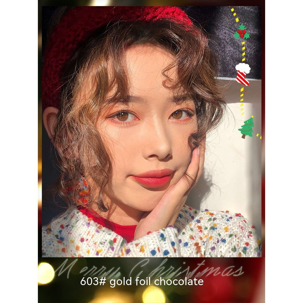 Gold Foil Chocolate Eye Shadow Plate Beginner
