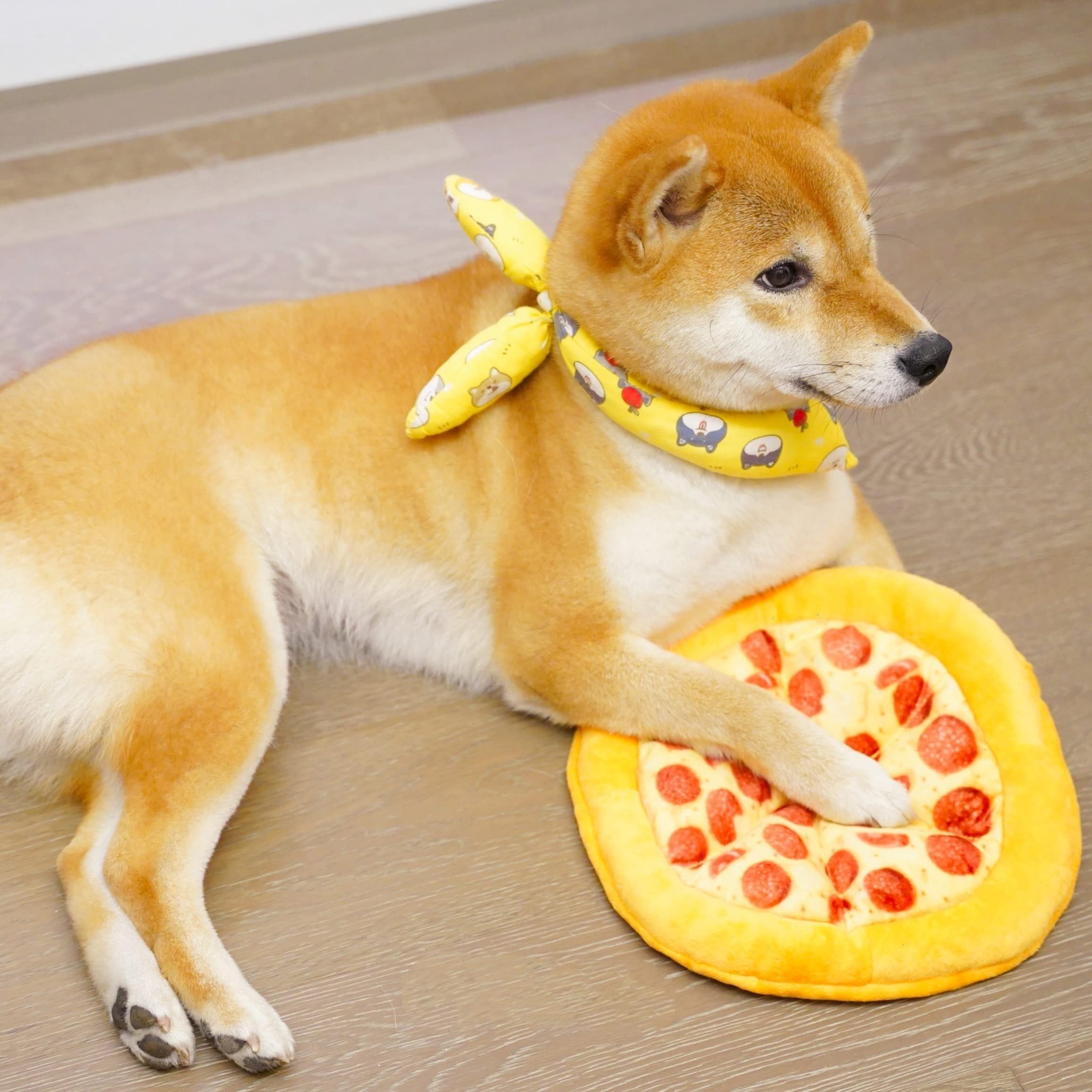 Pet Teddy Toy Pizza Grinding Teeth Squeaky Durable Dog Chewing Toy Interactive Supplies