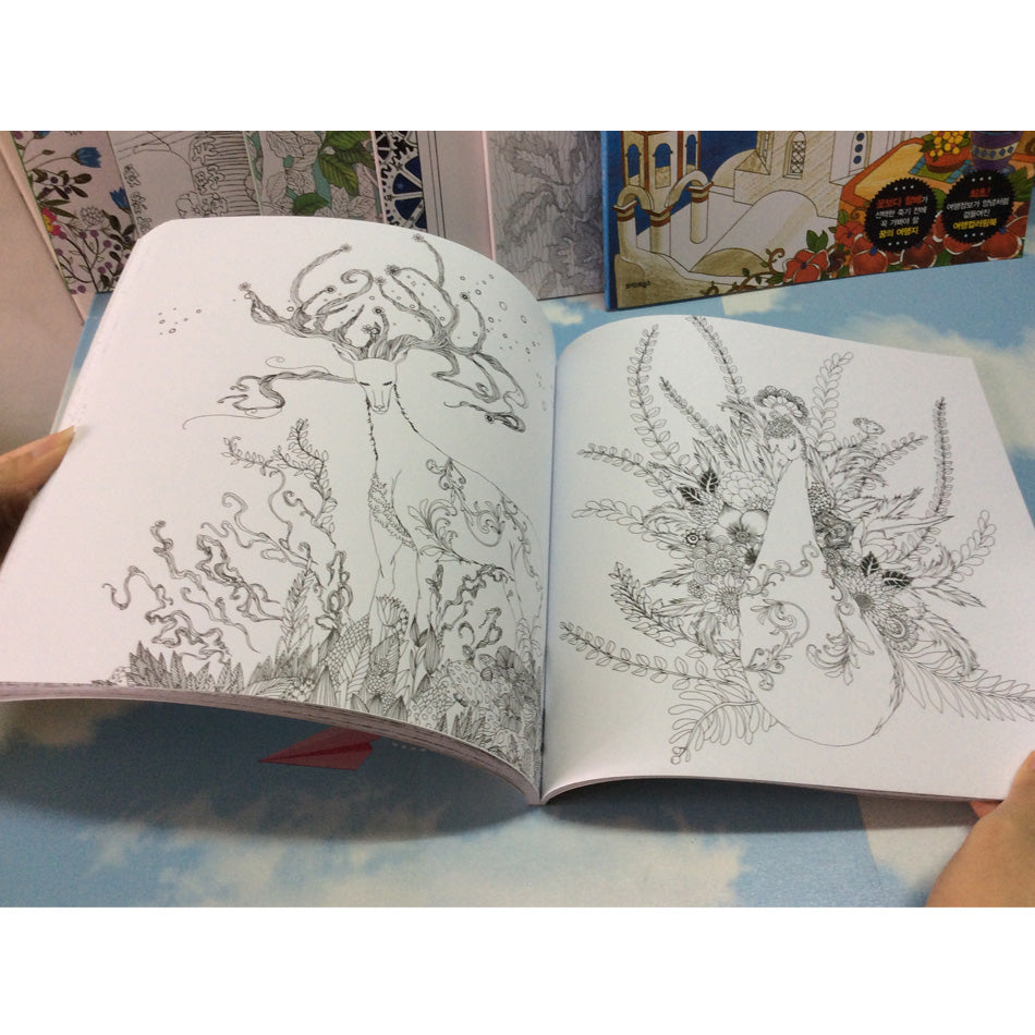 Secret Garden Painting and Coloring Book