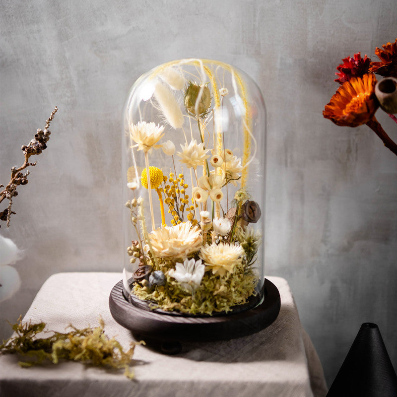 Handmade Plant Dried Flower Flower Micro Landscape Glass Cover Home Furnishings