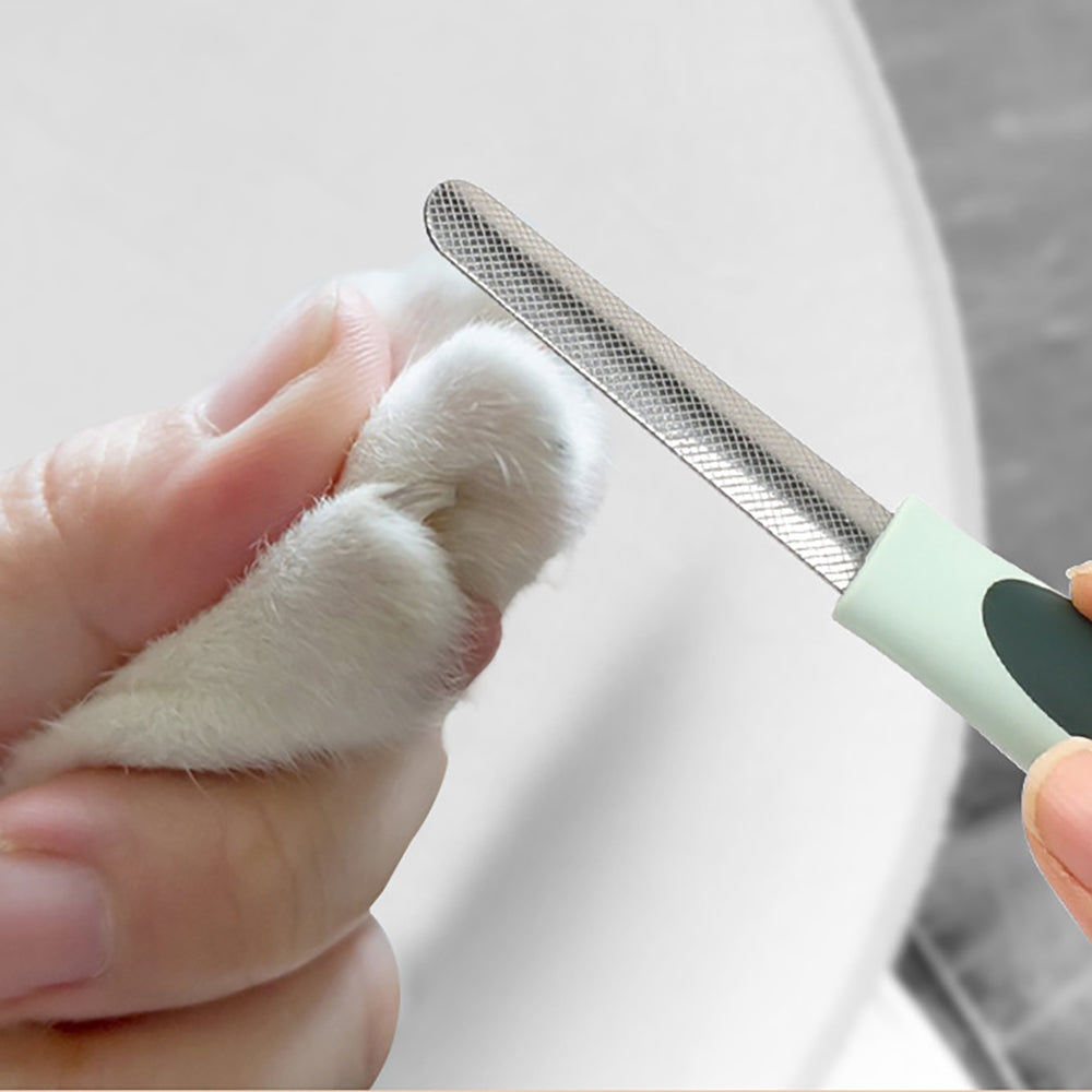 Tondeuse pour chiens, kit de toilettage professionnel pour chiens, tondeuse sans fil pour chiens à poils épais, tondeuse à cheveux pour chiens, tondeuse à faible bruit pour chiens, tondeuse silencieuse pour chiens et chats, kit de toilettage pour chiens