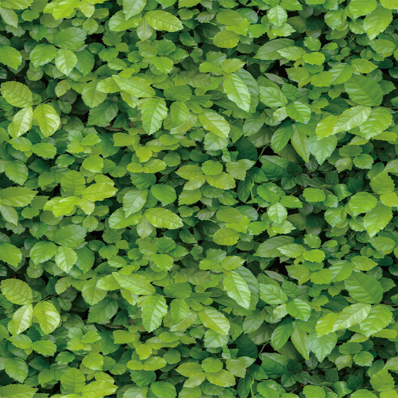 Waterproof stone balcony wallpaper
