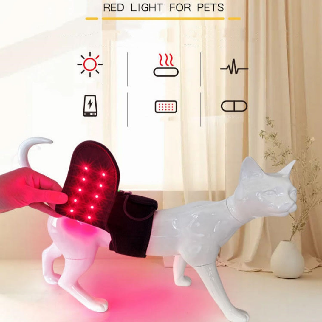 Pet Red Light Physiotherapy Mat For Post-Surgery Recovery Pain Relief And Spinal Care In Cats And Dogs