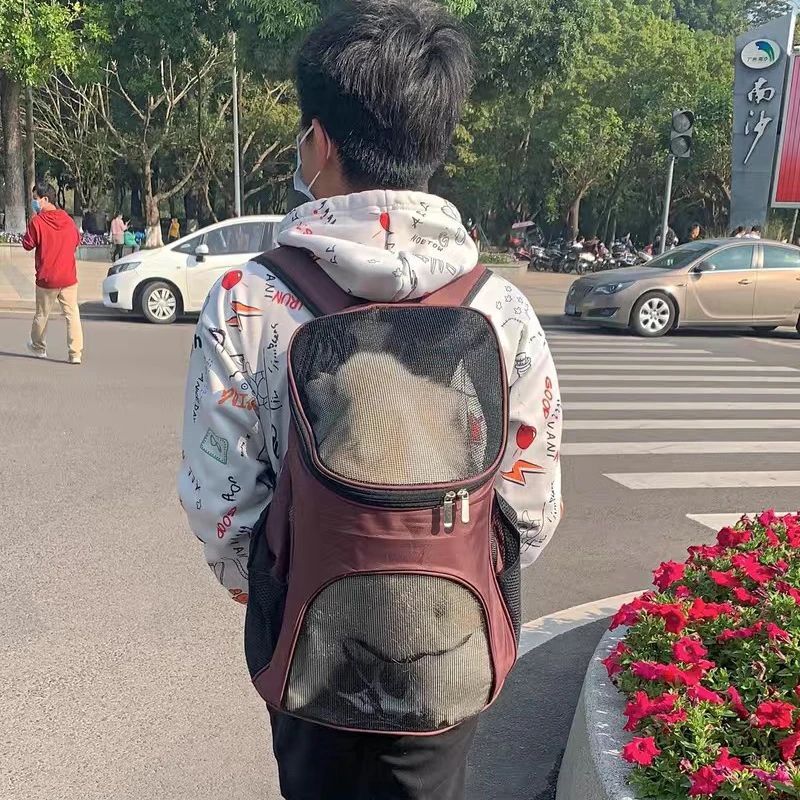 Sac à dos de transport respirant pour chiot et petit chien (Chihuahua, Schnauzer, Carlin) – Sac de transport portable pour animaux de compagnie pour l'extérieur