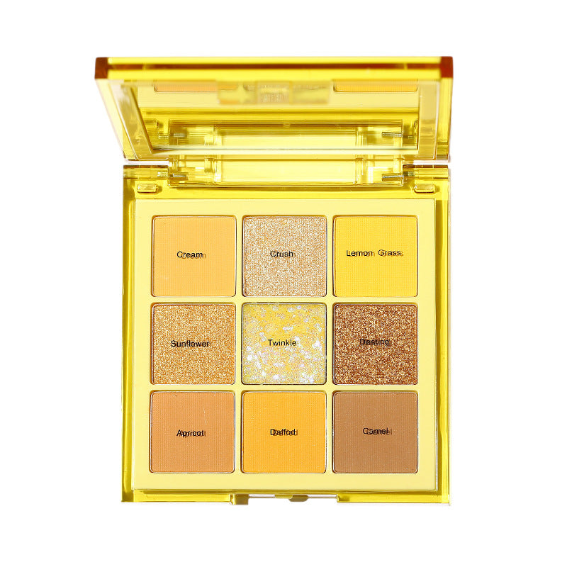 Nine Colors Eye Shadow Plate Stage Makeup Sequins Makeup Matte Orange Earth Tone Eyeshadow