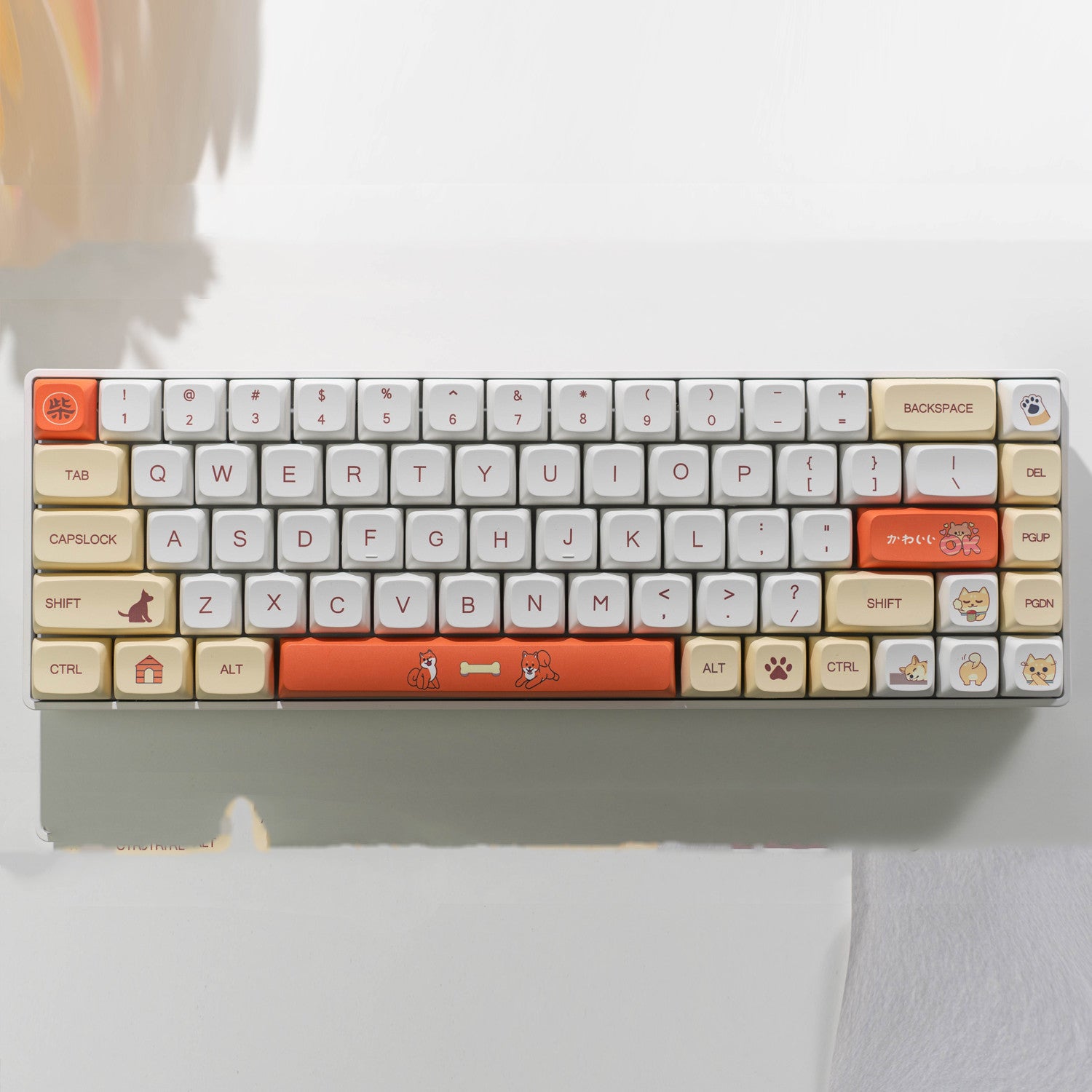 Transparent Tri-mode Kit RGB Silent Mechanical Keyboard