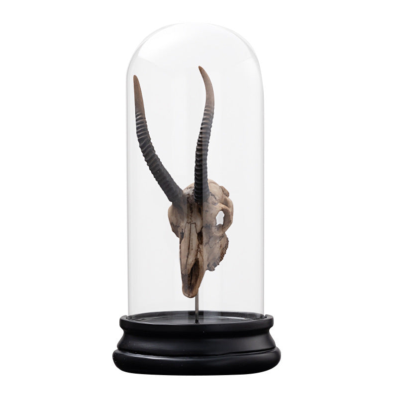 Simple Modern Animal Bone Fossil Bone Creative Personalized Decorations
