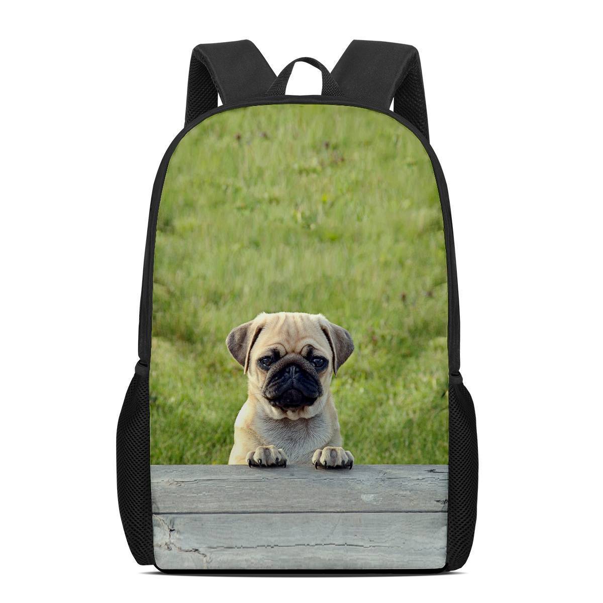 Large capacity backpack for travel and leisure