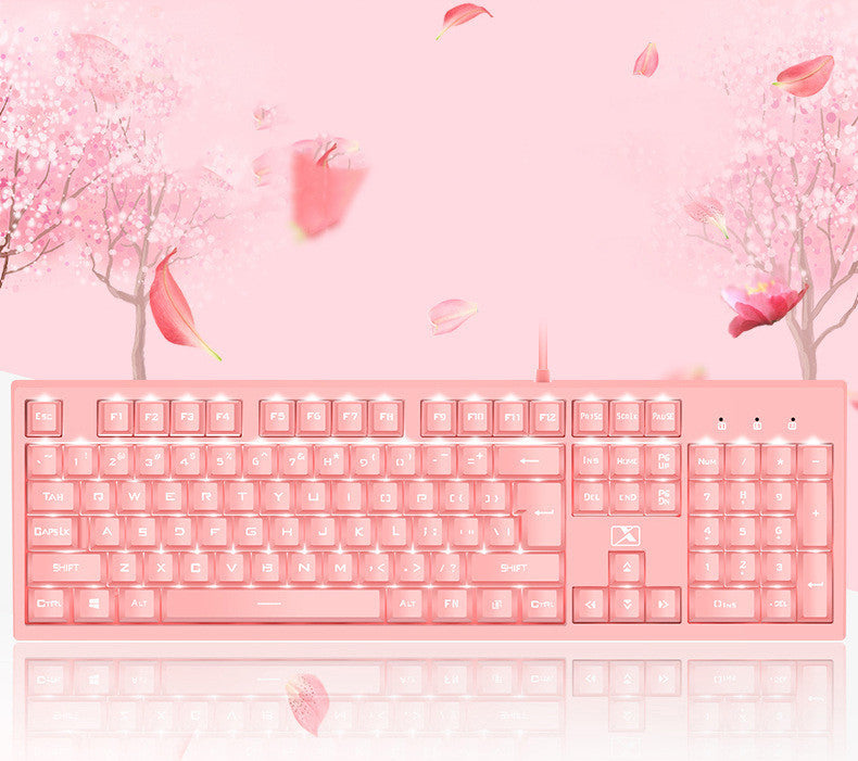 Notebook desktop computer universal color keyboard