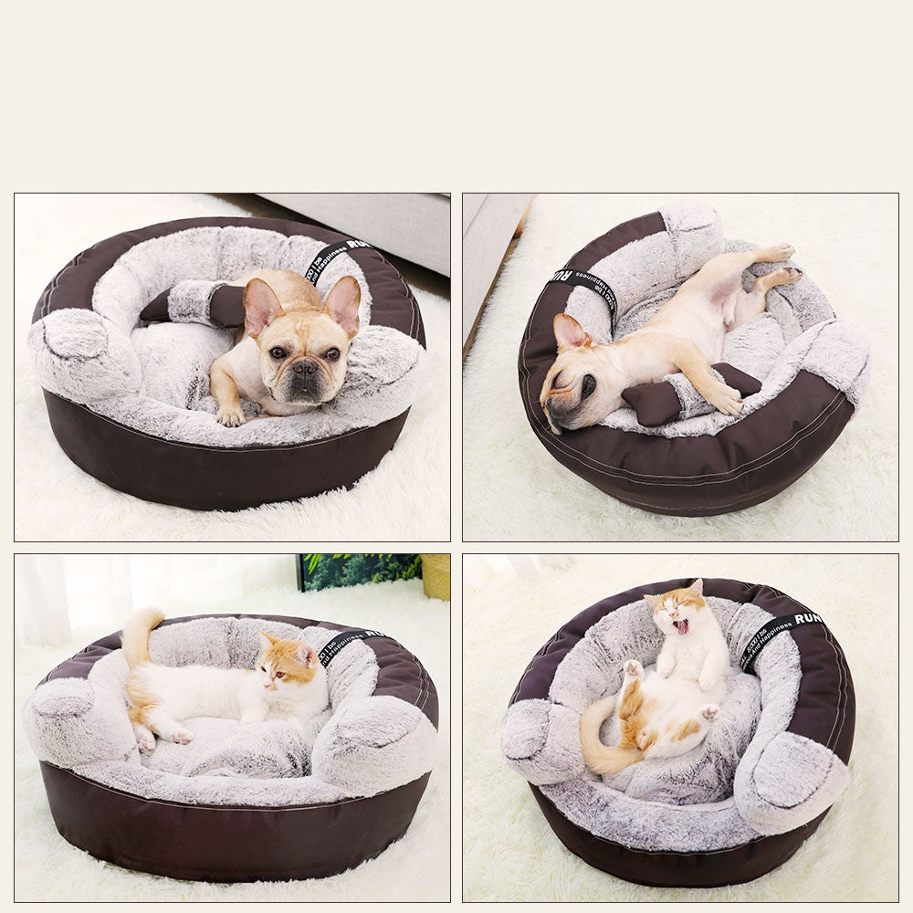 Deep sleep for small and medium-sized dogs