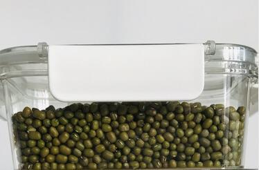 Refrigerator Fresh-keeping Box With Lid Transparent Storage Box For Fruits And Vegetables Sealed
