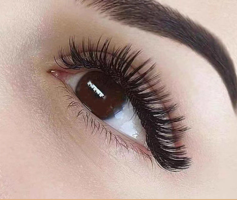 Quantum False Eyelashes Set Magnet Suction