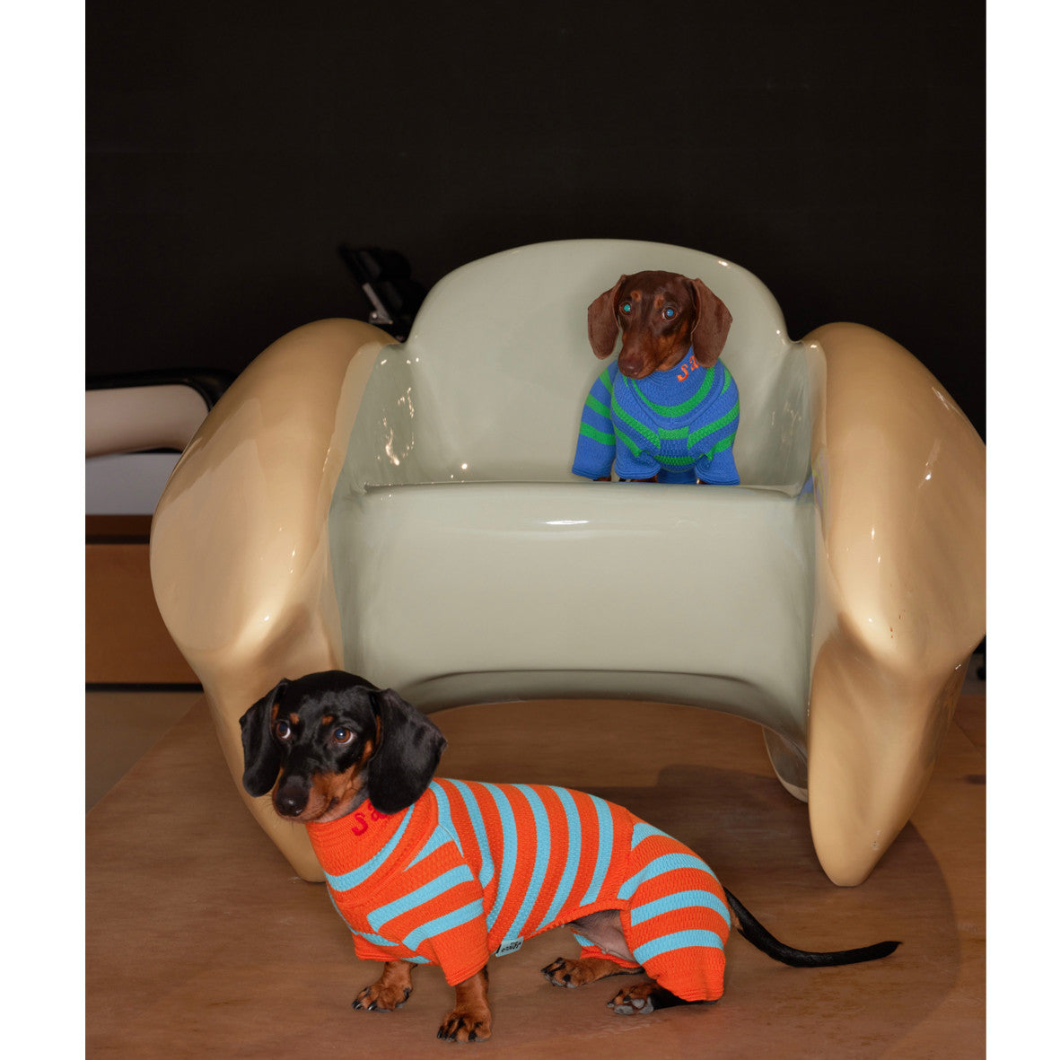 Knitted Contrast Color Stretch Four-legged Pet Clothing Pet
