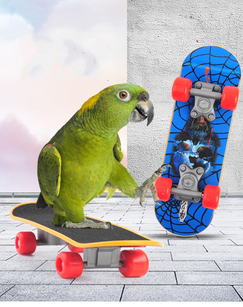 Frosted Non Slip Car Parrot Training