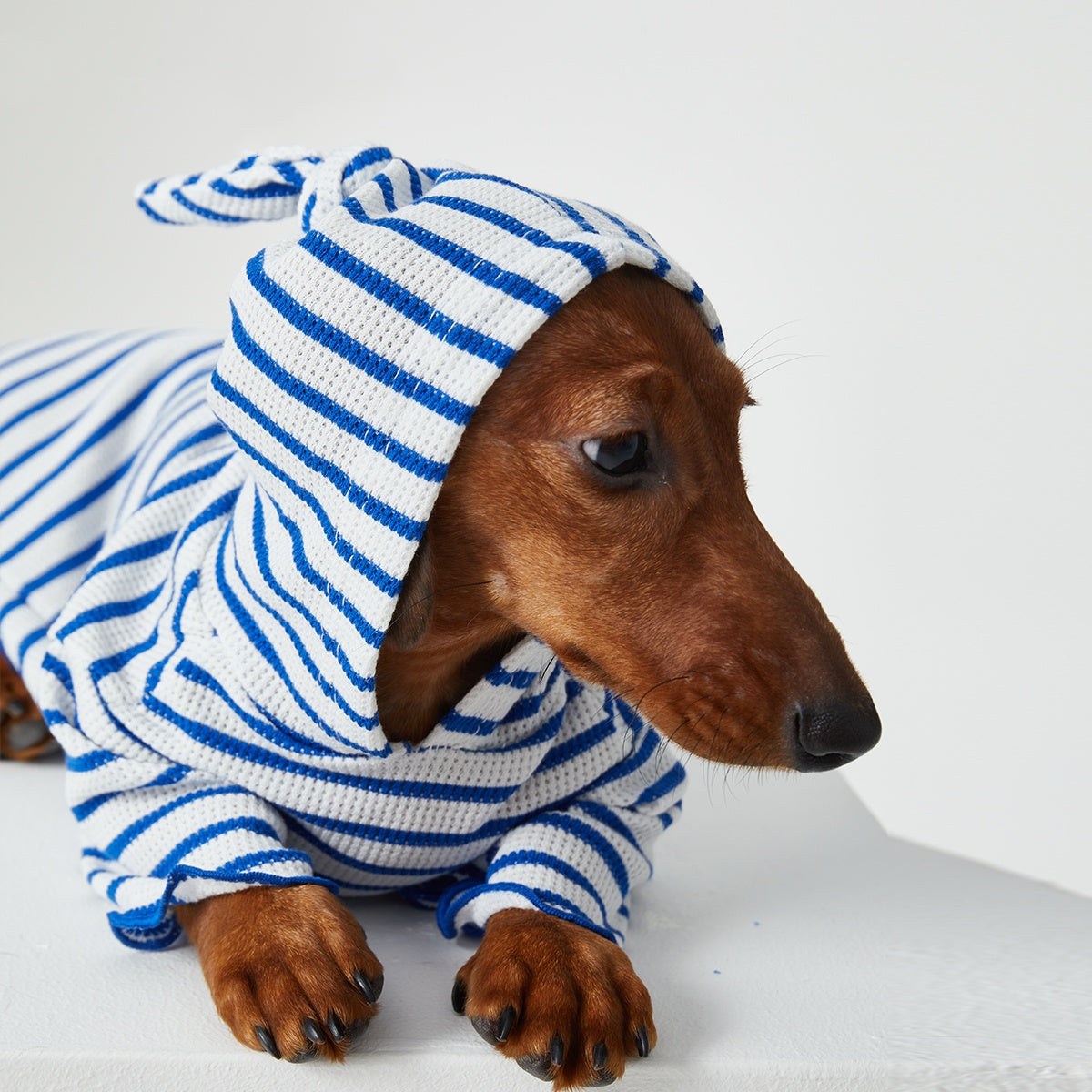 Dog Cat Pet Clothes Striped Hooded CAT Two Feet Apparel