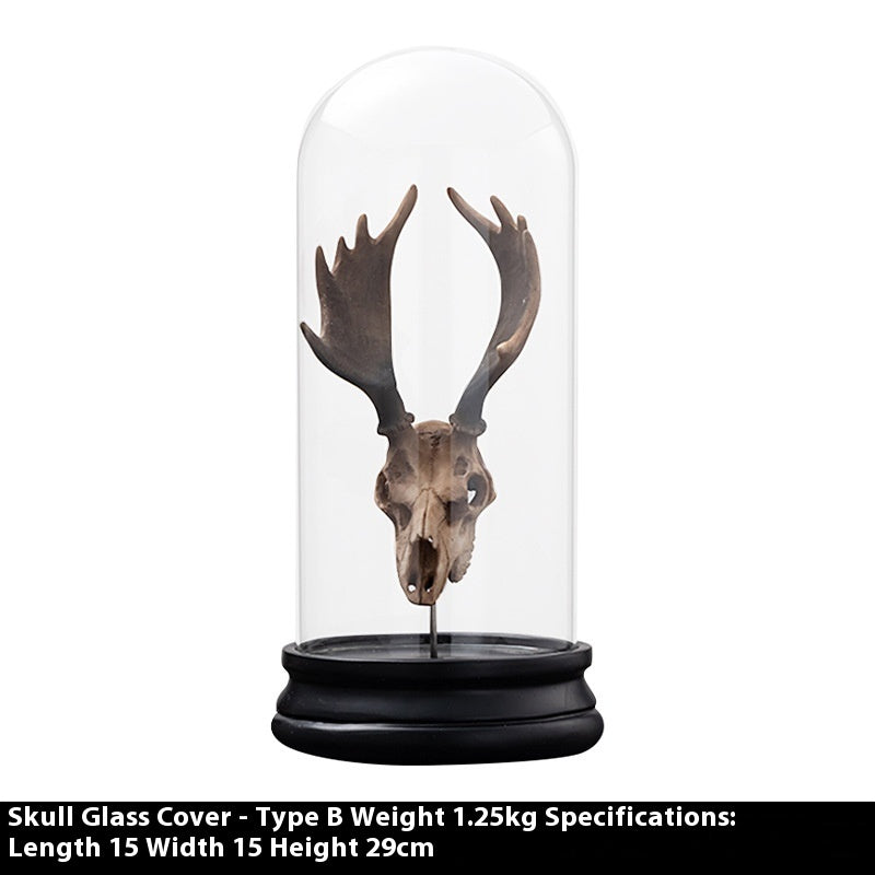 Simple Modern Animal Bone Fossil Bone Creative Personalized Decorations