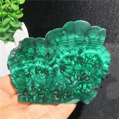 Natural Malachite Green Grinding Slice Mineral Specimen Ornamental Stone