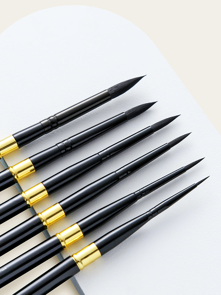 Watercolor Brush Set Art Student