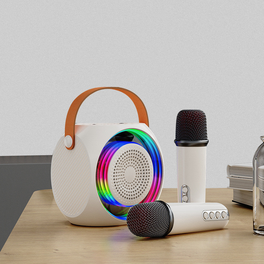 Mini Portable Microphone Audio Integrated