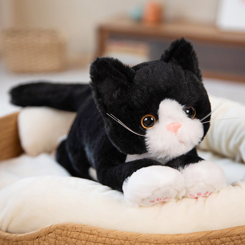 Cartoon Kitty Doll Plush Toys