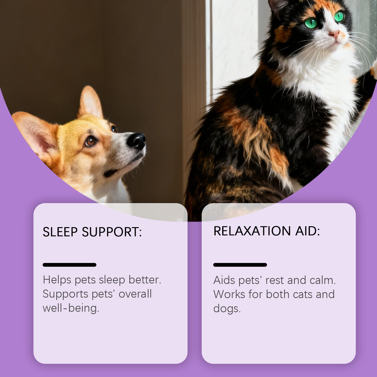 Kriath Pet Cat And Dog Care Drops Gentle, Nourishing, And Soothing Drops For Cats And Dogs, Ideal For Daily Sleep And General Care