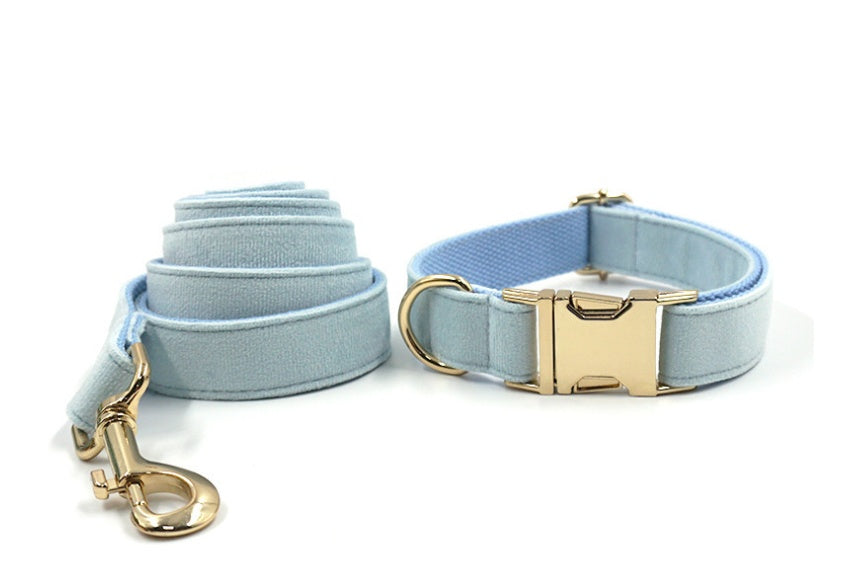 Sky Blue Velvet Gold Collar Leash Europe And America