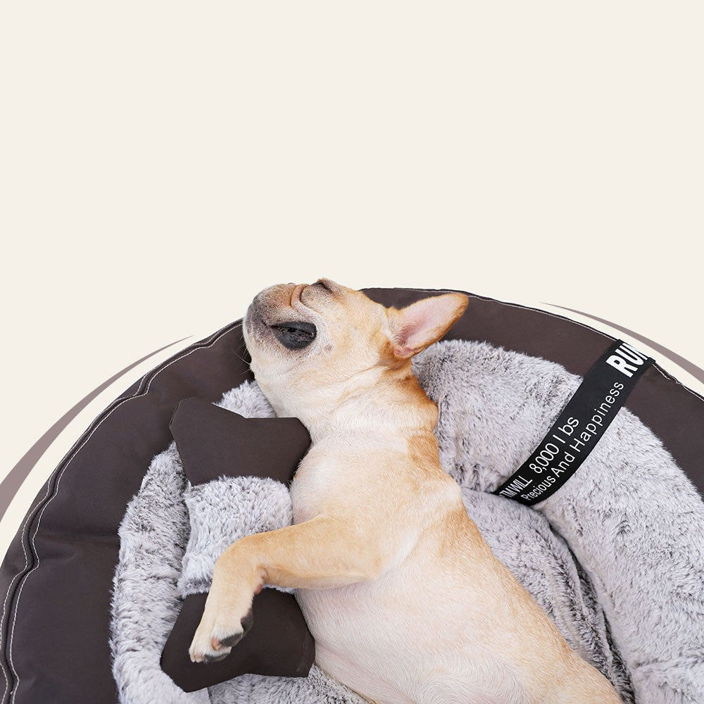 Deep sleep for small and medium-sized dogs