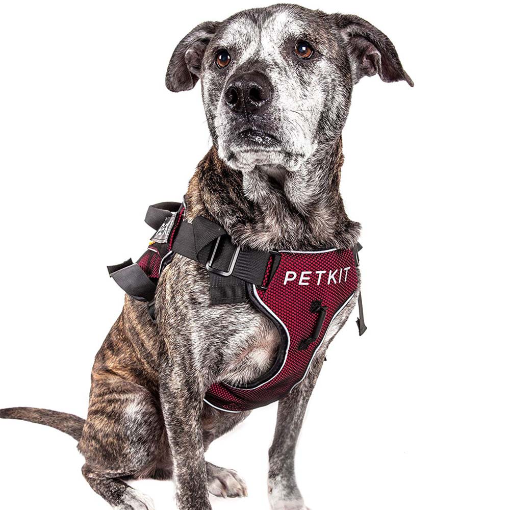 Pet vest chest strap