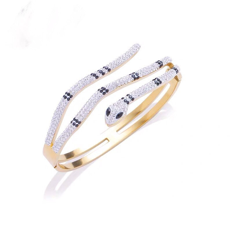 Bracelet Tendance en Acier Titane Serpent Entièrement Diamanté