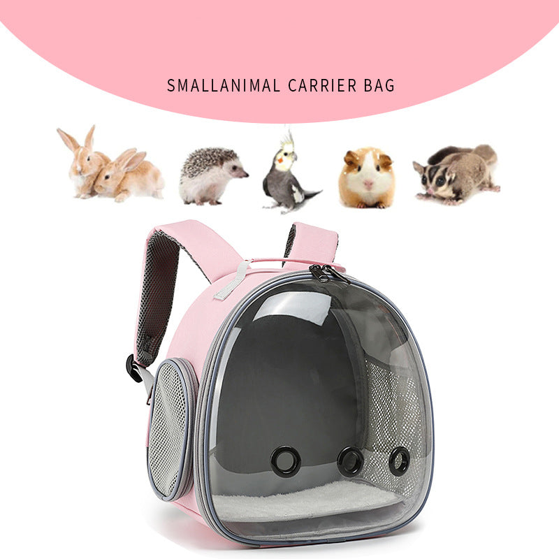 Sac à dos de transport pour animaux de compagnie, sac à dos transparent pour petit animal, sac de transport pour hamster, cochon d'Inde, écureuil volant, furet, lapin