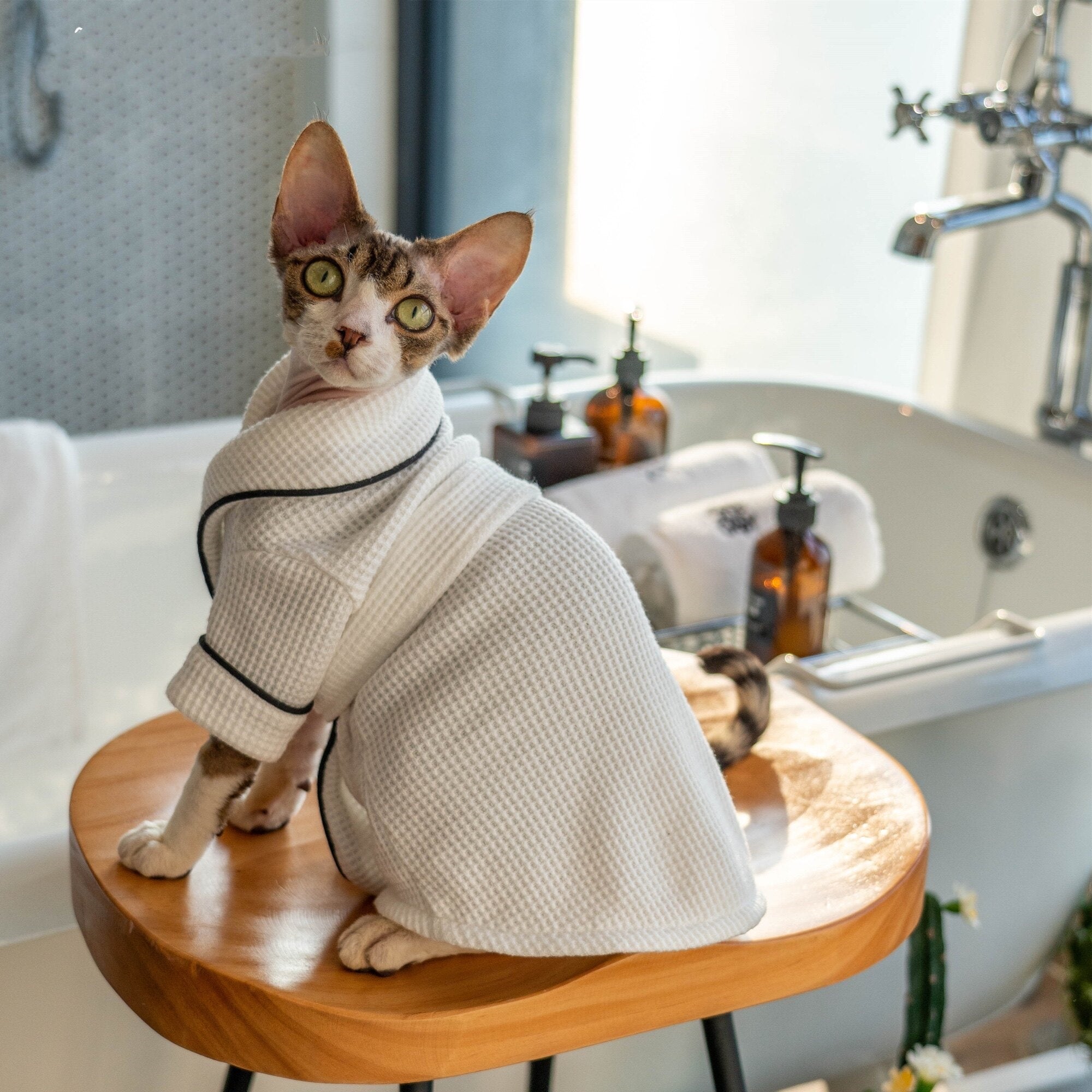Pet Bathrobe And Bath Towelsoft And Highly Absorbent